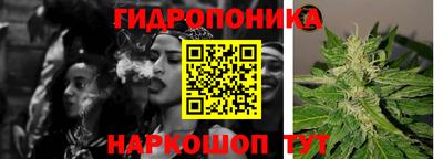 наркотики Будённовск
