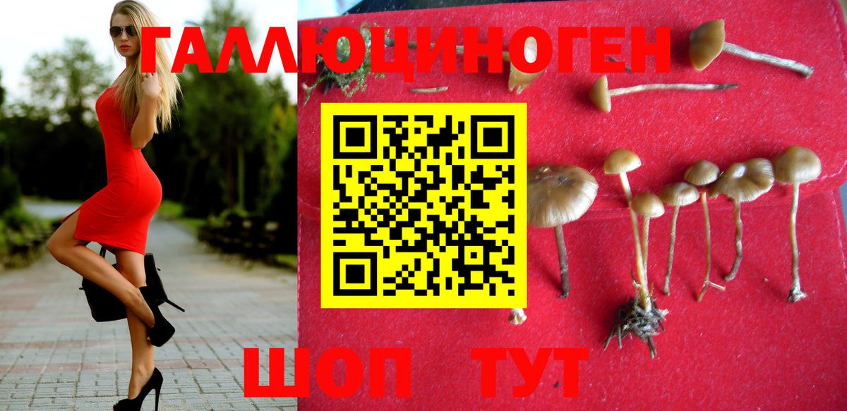 Псилоцибиновые грибы прущие грибы Нурлат