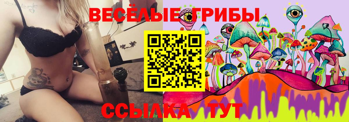 Нурлат  Галлюциногенные грибы Cubensis  Вход с VPN 